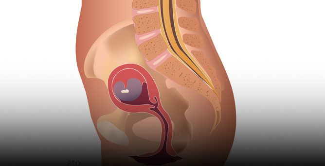 Quinta settimana di gravidanza